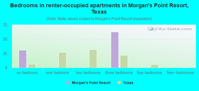 Bedrooms in renter-occupied apartments in Morgan's Point Resort, Texas