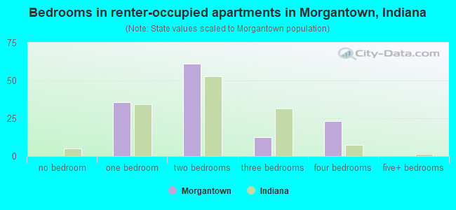 Bedrooms in renter-occupied apartments in Morgantown, Indiana