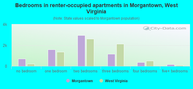 Bedrooms in renter-occupied apartments in Morgantown, West Virginia