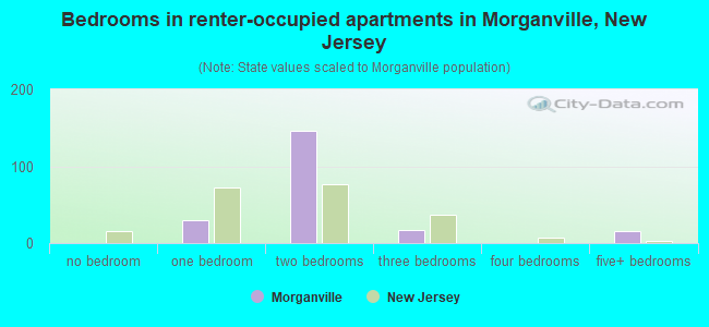 Bedrooms in renter-occupied apartments in Morganville, New Jersey