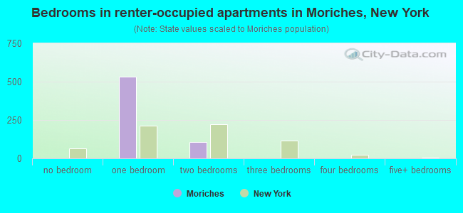 Bedrooms in renter-occupied apartments in Moriches, New York