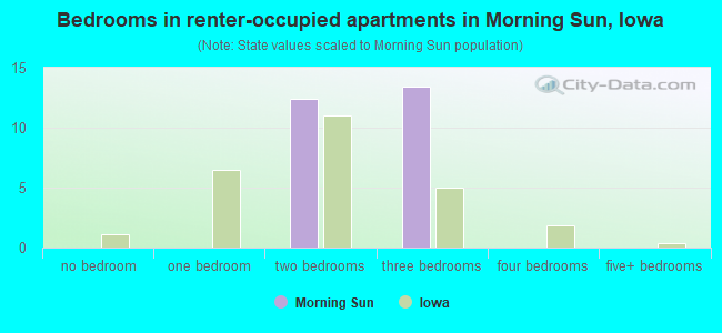 Bedrooms in renter-occupied apartments in Morning Sun, Iowa