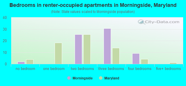 Bedrooms in renter-occupied apartments in Morningside, Maryland