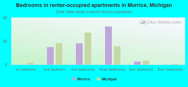 Bedrooms in renter-occupied apartments in Morrice, Michigan