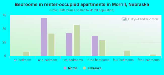 Bedrooms in renter-occupied apartments in Morrill, Nebraska