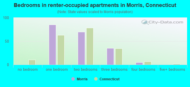 Bedrooms in renter-occupied apartments in Morris, Connecticut