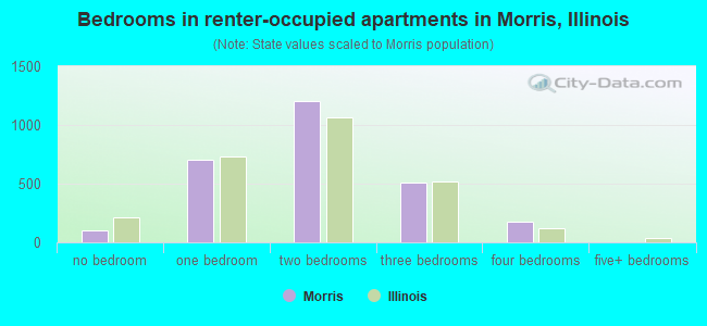 Bedrooms in renter-occupied apartments in Morris, Illinois