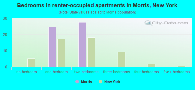 Bedrooms in renter-occupied apartments in Morris, New York