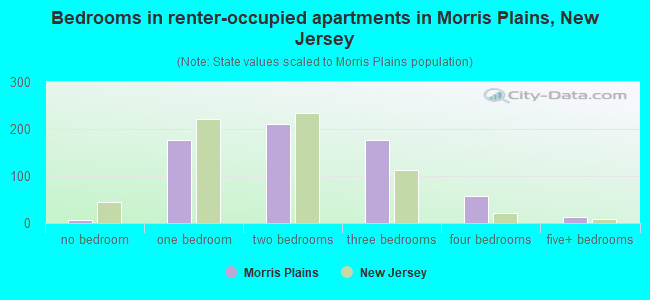 Bedrooms in renter-occupied apartments in Morris Plains, New Jersey