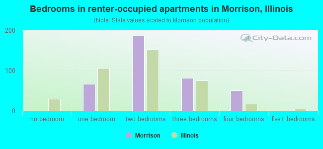 Bedrooms in renter-occupied apartments in Morrison, Illinois