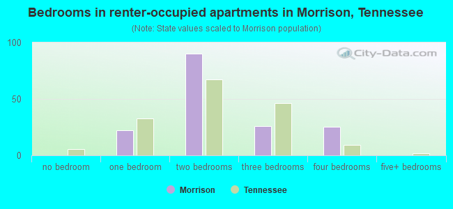 Bedrooms in renter-occupied apartments in Morrison, Tennessee