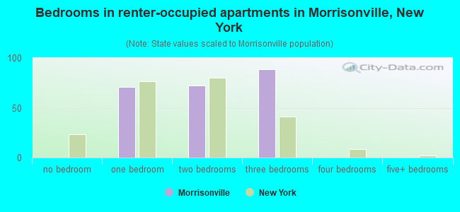 Bedrooms in renter-occupied apartments in Morrisonville, New York