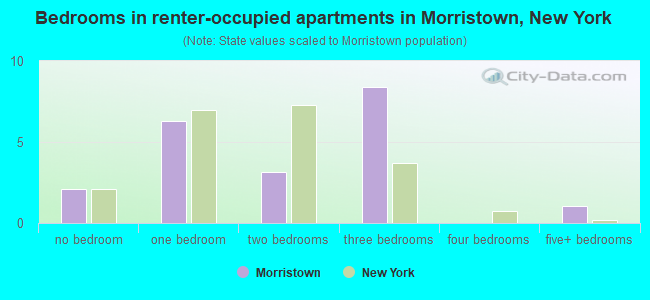 Bedrooms in renter-occupied apartments in Morristown, New York