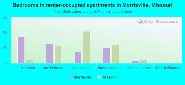 Bedrooms in renter-occupied apartments in Morrisville, Missouri