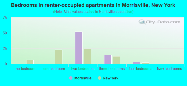 Bedrooms in renter-occupied apartments in Morrisville, New York
