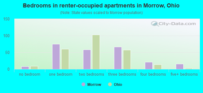 Bedrooms in renter-occupied apartments in Morrow, Ohio