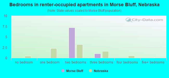 Bedrooms in renter-occupied apartments in Morse Bluff, Nebraska