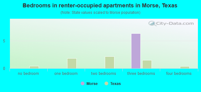 Bedrooms in renter-occupied apartments in Morse, Texas