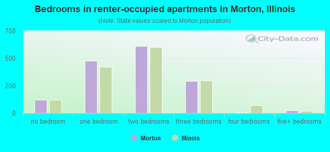 Bedrooms in renter-occupied apartments in Morton, Illinois