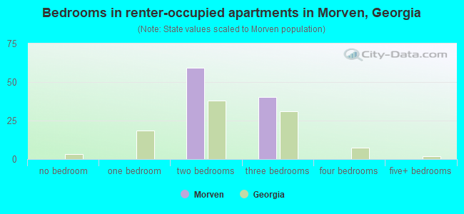 Bedrooms in renter-occupied apartments in Morven, Georgia