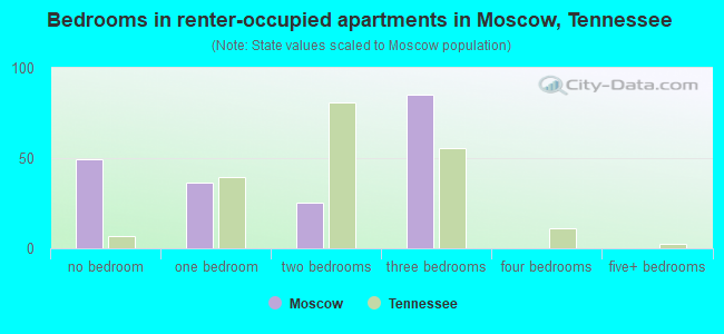 Bedrooms in renter-occupied apartments in Moscow, Tennessee