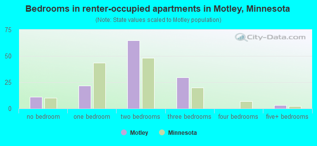 Bedrooms in renter-occupied apartments in Motley, Minnesota