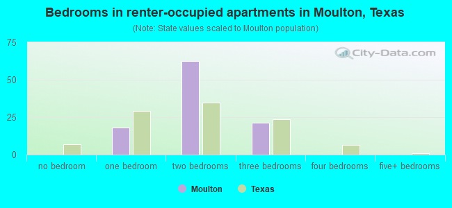 Bedrooms in renter-occupied apartments in Moulton, Texas