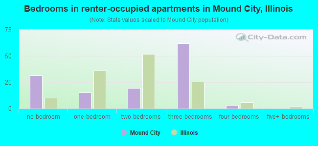 Bedrooms in renter-occupied apartments in Mound City, Illinois