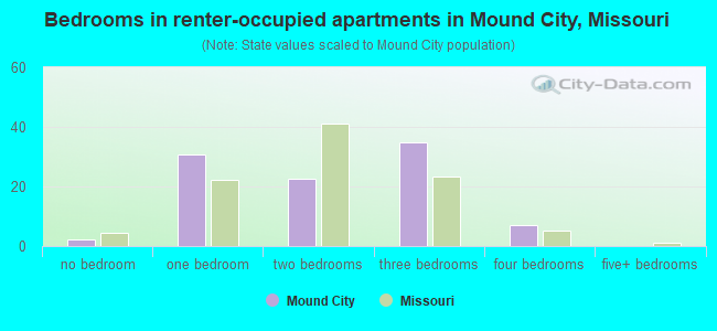 Bedrooms in renter-occupied apartments in Mound City, Missouri