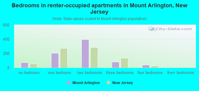 Bedrooms in renter-occupied apartments in Mount Arlington, New Jersey