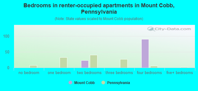 Bedrooms in renter-occupied apartments in Mount Cobb, Pennsylvania