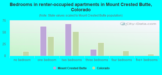 Bedrooms in renter-occupied apartments in Mount Crested Butte, Colorado