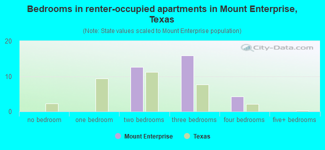 Bedrooms in renter-occupied apartments in Mount Enterprise, Texas