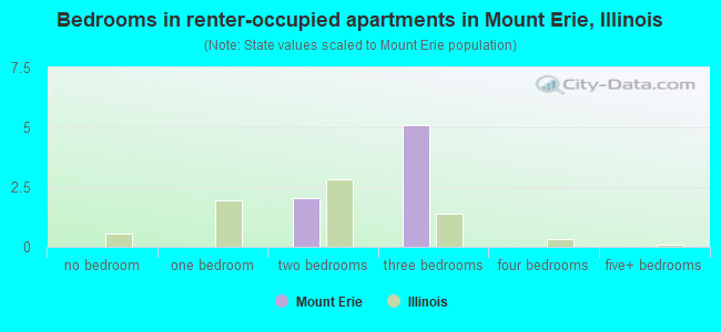 Bedrooms in renter-occupied apartments in Mount Erie, Illinois