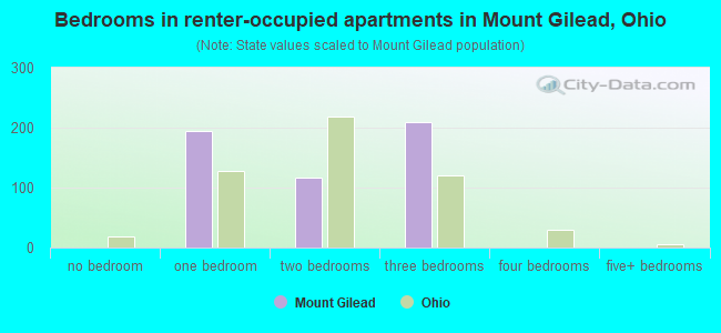 Bedrooms in renter-occupied apartments in Mount Gilead, Ohio