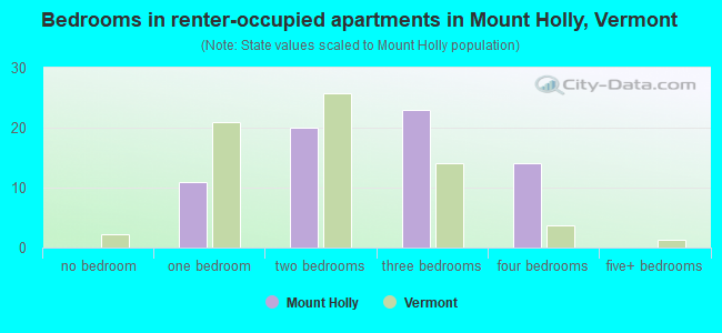 Bedrooms in renter-occupied apartments in Mount Holly, Vermont