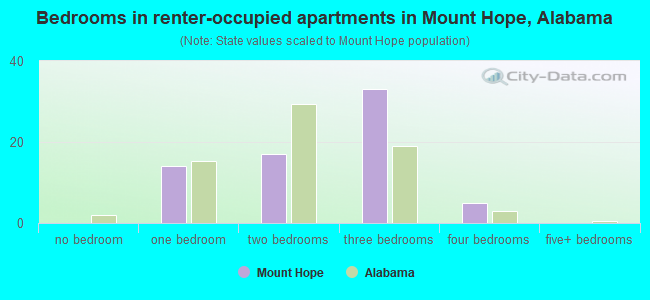 Bedrooms in renter-occupied apartments in Mount Hope, Alabama