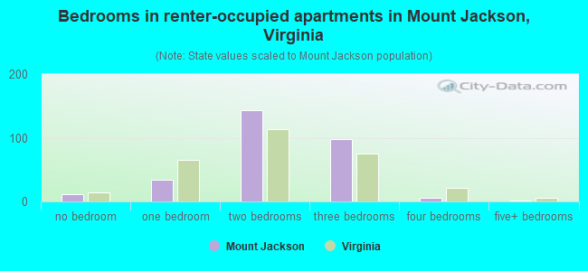 Bedrooms in renter-occupied apartments in Mount Jackson, Virginia