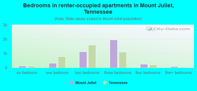 Bedrooms in renter-occupied apartments in Mount Juliet, Tennessee