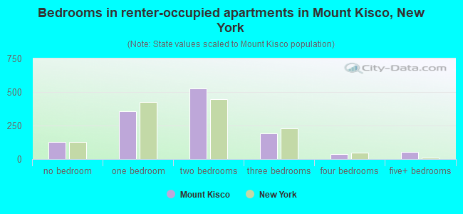 Bedrooms in renter-occupied apartments in Mount Kisco, New York
