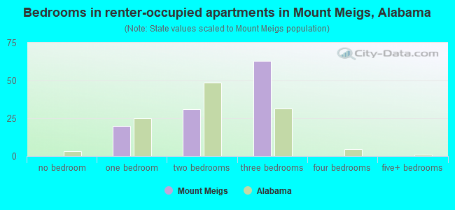 Bedrooms in renter-occupied apartments in Mount Meigs, Alabama