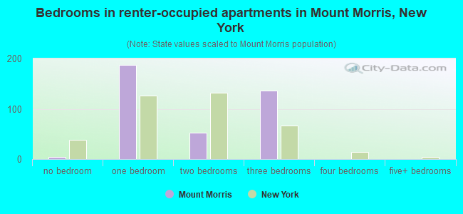Bedrooms in renter-occupied apartments in Mount Morris, New York