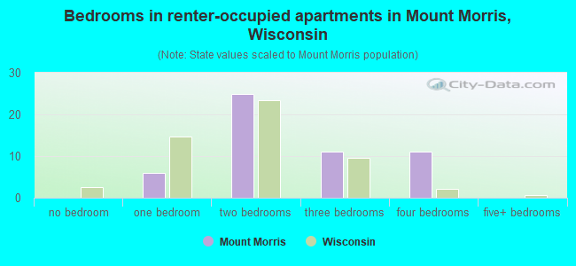 Bedrooms in renter-occupied apartments in Mount Morris, Wisconsin