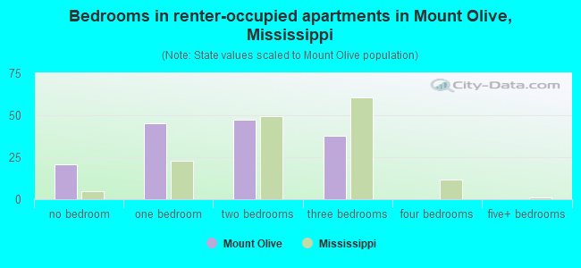 Bedrooms in renter-occupied apartments in Mount Olive, Mississippi