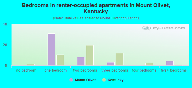 Bedrooms in renter-occupied apartments in Mount Olivet, Kentucky