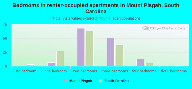 Bedrooms in renter-occupied apartments in Mount Pisgah, South Carolina