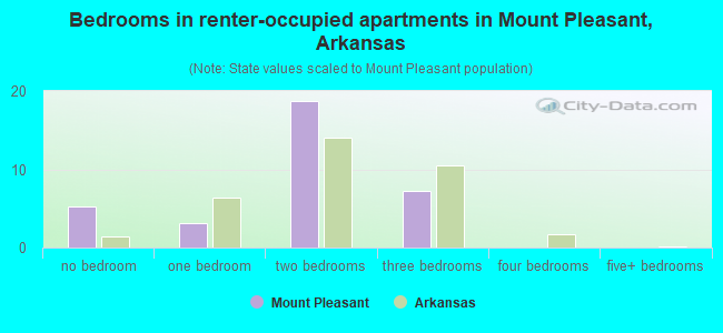 Bedrooms in renter-occupied apartments in Mount Pleasant, Arkansas