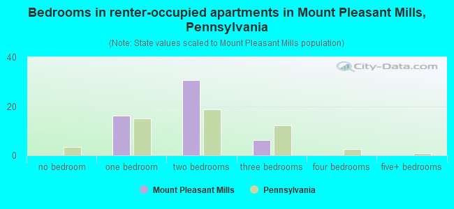 Bedrooms in renter-occupied apartments in Mount Pleasant Mills, Pennsylvania