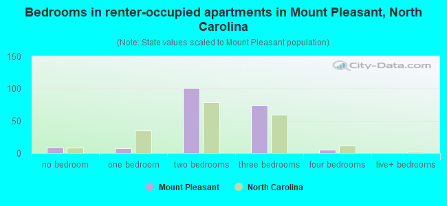 Bedrooms in renter-occupied apartments in Mount Pleasant, North Carolina