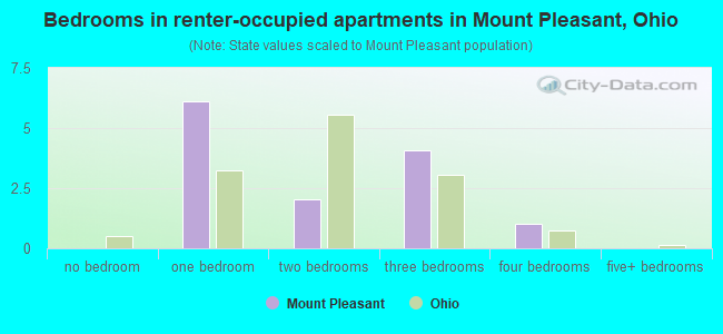 Bedrooms in renter-occupied apartments in Mount Pleasant, Ohio